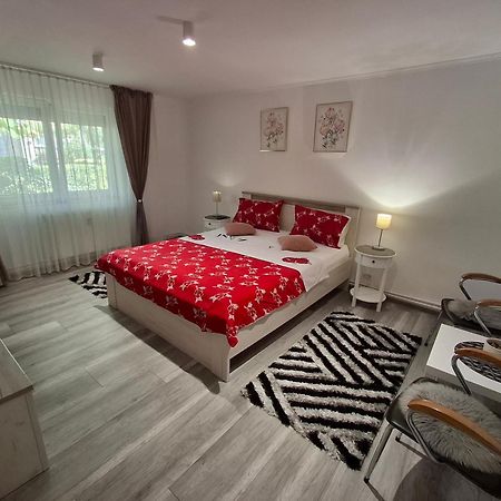 Apartament Claudia 데바 외부 사진